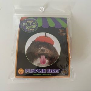 NWT Rubie's Pet Shop Halloween Pumpkin Beret Hat
